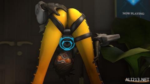 星球员和高 星球员和高