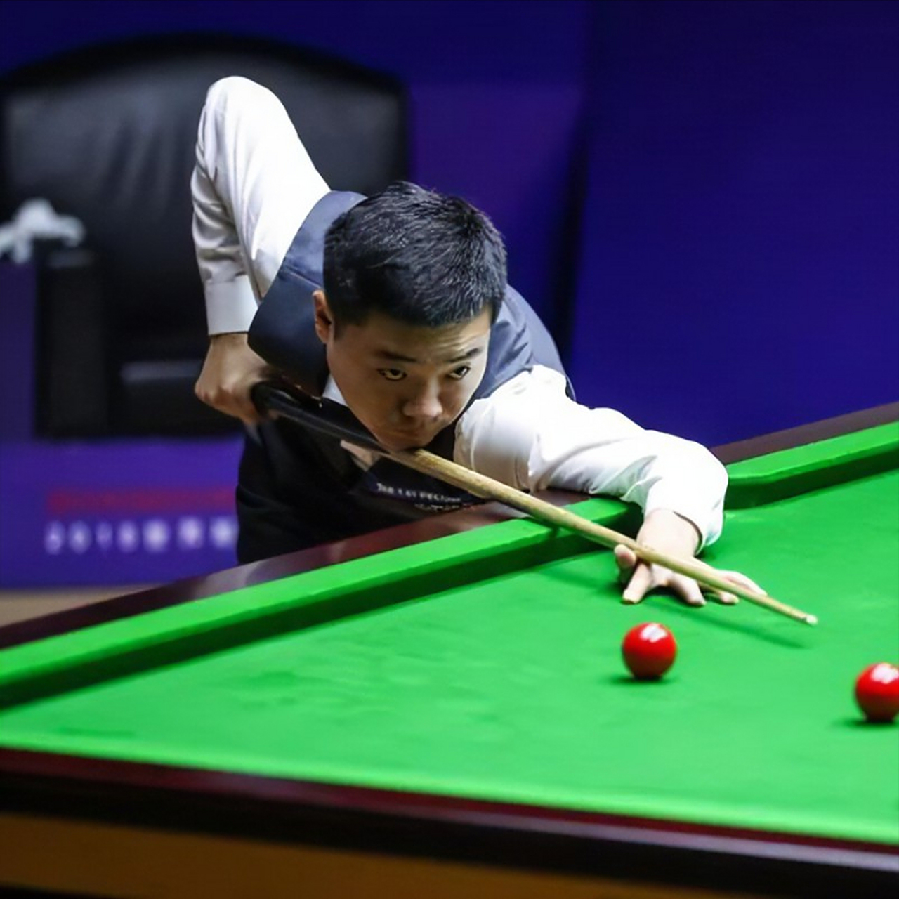 格伊不仅是 格伊不仅是