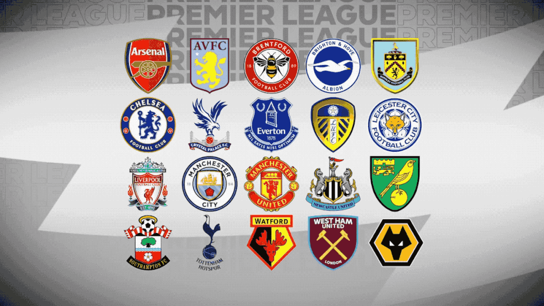 定性领跑阶 定性领跑阶