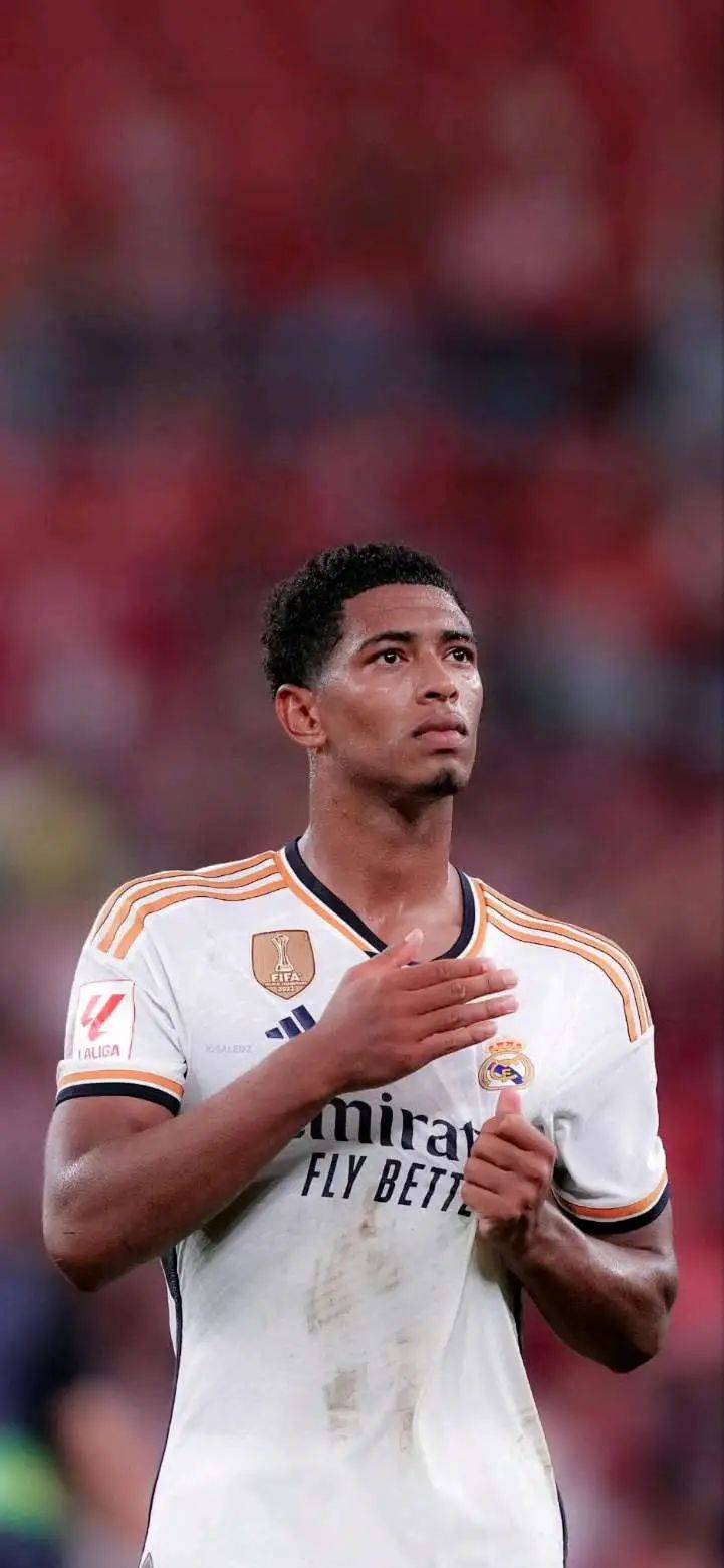 既是高阶驾 既是高阶驾